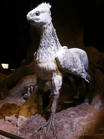hippogriff: a mythical beast, half griffin and half horse, supposedly the offspring of a griffin and a filly