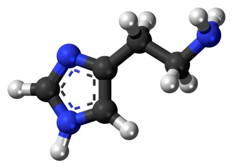 histamine: an amine, C₅H₉N₃, formed by decarboxylation of histidine, that causes dilatation of capillaries,...