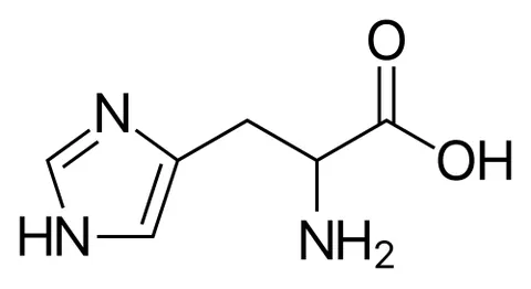 histidine: an essential amino acid C₆H₉N₃O₂ found in most animal proteins; essential for tissue growth and...