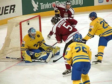 hockey: any of a family of sports in which hockey sticks are used to move a ball or puck into a goal