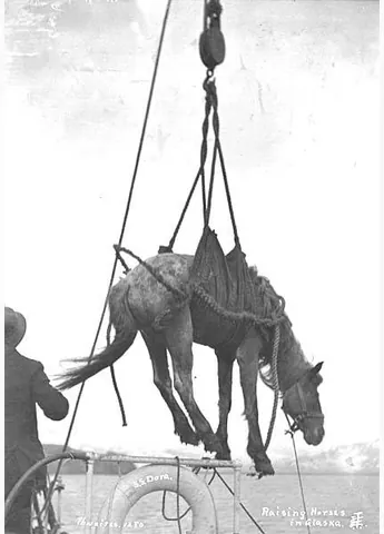 hoist: to raise; to lift; to elevate (especially, to raise or lift to a desired elevation, by means of...