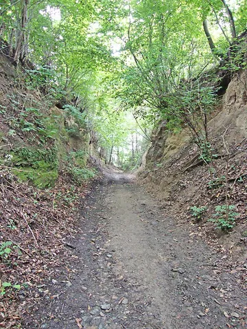 holloway: a road or track that is significantly lower than the land on either side, not formed by recent...