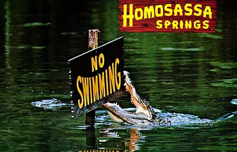 homosassa springs: a census-designated place in Citrus County, Florida, United States