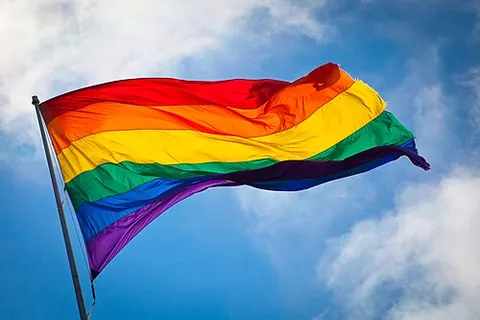 homosexuality: the state of being sexually and romantically attracted primarily or exclusively to persons of the...