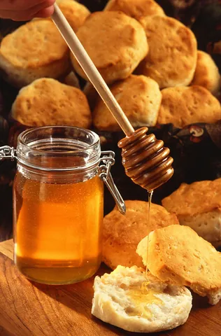 honey: a sweet, viscous, gold-colored fluid produced from plant nectar by bees, and often consumed by...
