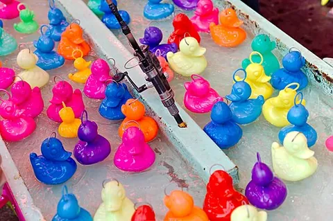 hook-a-duck: a fairground game in which the player attempts to catch toy ducks using a hooked pole; ducks...