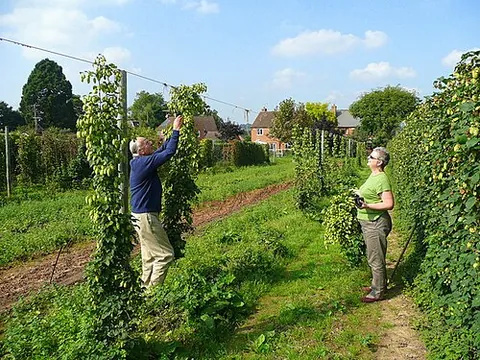 hop: a short jump
