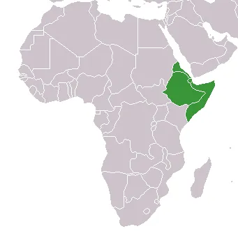 horn of africa: a peninsula in East Africa, jutting into the Guardafui Channel