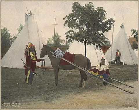 horse litter: a litter pulled or borne by one horse or borne on poles borne by two or more horses