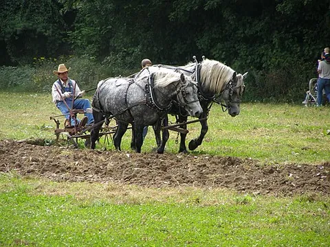 horse power: any of a class of machines that used draft horses as a source of power to an output shaft or...