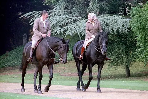 horseback: the back of a horse
