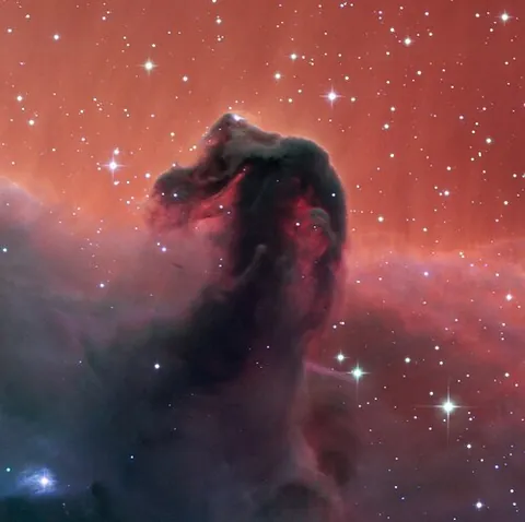 horsehead nebula: a small dark nebula in the constellation Orion