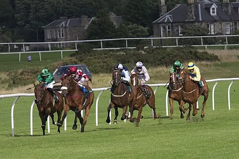 horses for courses: different people are suited for different jobs or situations; what is fitting in one case may not...