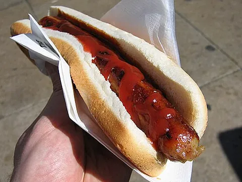 hot dog: a sausage, typically a frankfurter