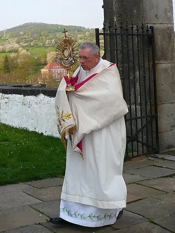 humeral veil: a long, narrow veil or scarf, normally of the same color and material as the vestments, worn round...