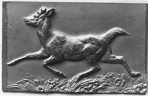 hummel: a stag that has failed to grow antlers; a cow that has not developed horns