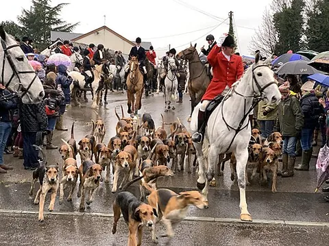 hunt: to find or search for an animal in the wild with the intention of killing the animal for its meat...