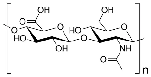 hyaluronic acid: a mucopolysaccharide (a kind of polymer) that forms a gel-like substance within animal connective...