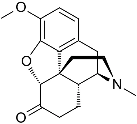 hydrocodone: a habit-forming compound that is derived from codeine and is administered in the form of its...