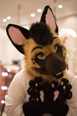 hyenasona: a fursona that is a hyena