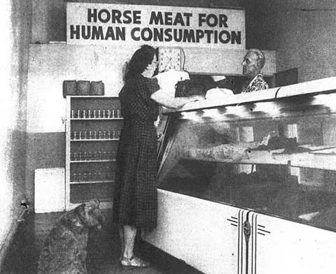 i could eat a horse: i am very hungry