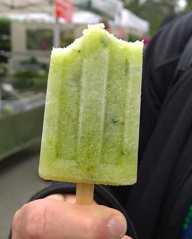 ice lolly: synonym of popsicle, frozen fruit juice on a stick