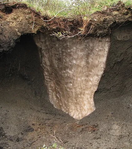 ice wedge: a vertical wedge of subterranean ice