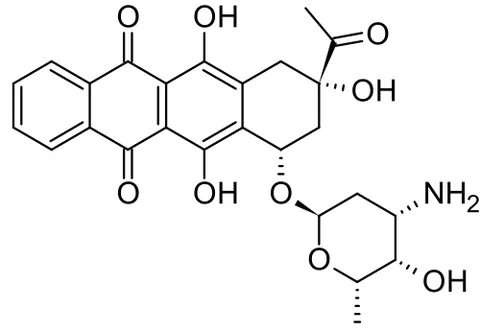 idarubicin: a particular anthracycline drug used in chemotherapy