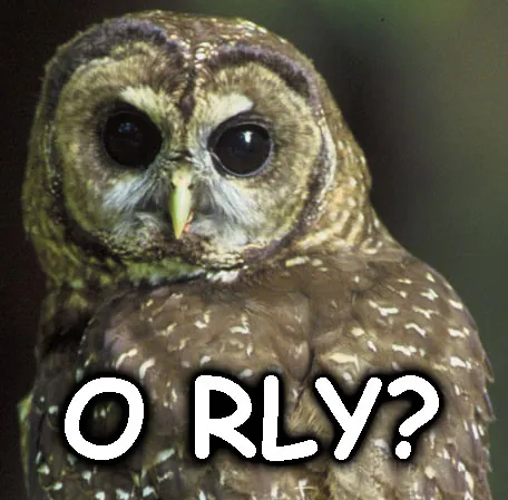 image macro: an image with superimposed text, often humorous