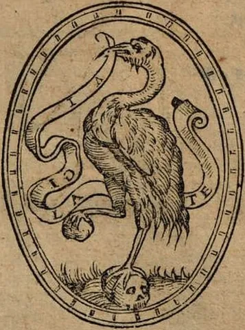 in vigilance: standing on one leg, typically holding a stone in its other, raised leg