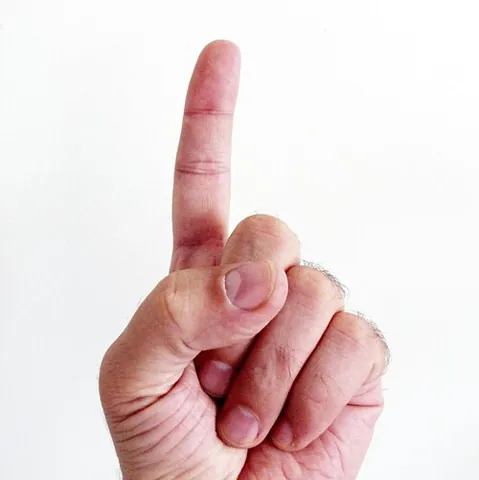 index finger: the forefinger