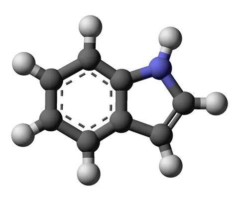 indole: an organic compound, C₈H₇N, found in coal tar, and produced in the gut by the bacterial...