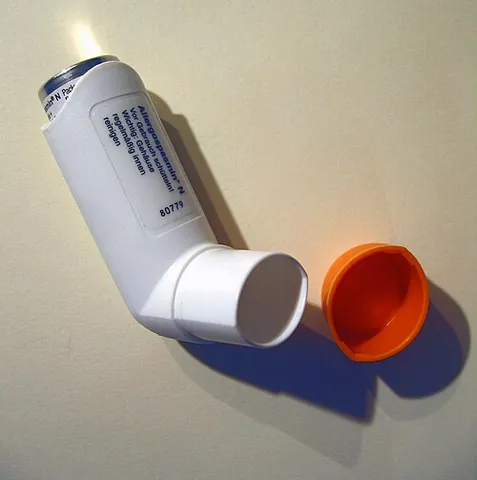 inhaler: one who inhales