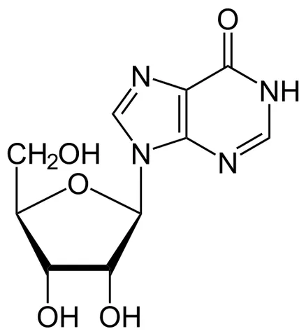 inosine: any nucleoside formed from hypoxanthine attached to a ribose