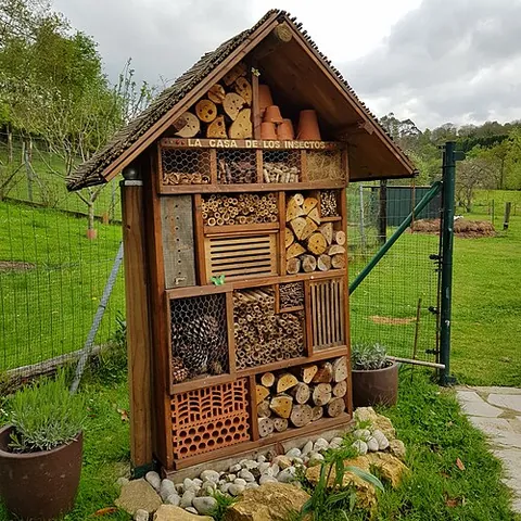 insect hotel: a man-made structure created to provide shelter for insects