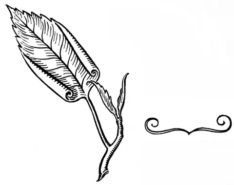 involute: difficult to understand; complicated