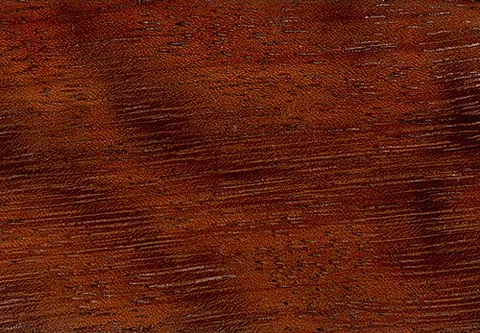 iroko: hardwood obtained from the species Milicia excelsa and, less frequently, Milicia regia, often sold...