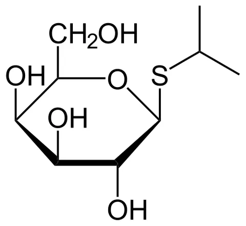 isopropyl-beta-d-thiogalactopyranoside: a synthetic chemical used to turn on gene expression by activating the lac operon, Commonly used in...