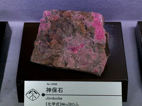 jimboite: an orthorhombic-dipyramidal mineral containing boron, manganese, and oxygen