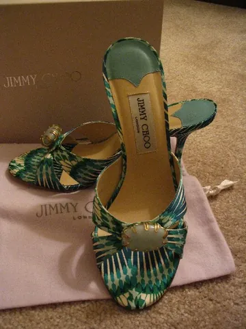 jimmy choo: any shoe designed by fashion designer Jimmy Choo
