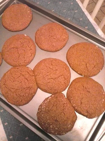 joe frogger: a large cookie flavoured with molasses and rum