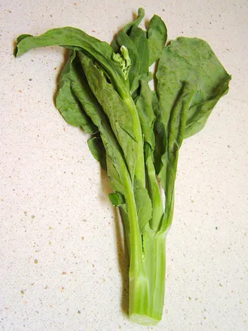 kailan: brassica oleracea var. alboglabra, a long, blue-green vegetable with thick, glossy stems and leaves...