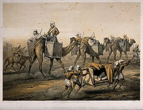 kajawah: a camel-borne pannier, litter, or cacolet