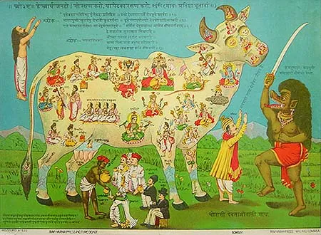 kamadhenu: the wish-fulfilling cow of plenty who emerged from the churning of the cosmic ocean