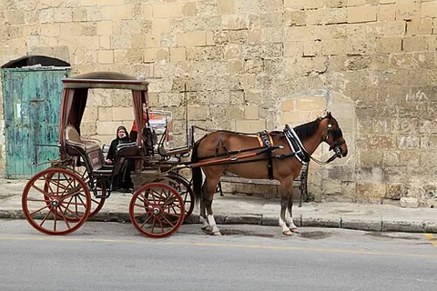karozzin: a type of traditional carriage pulled by a horse or pair of horses