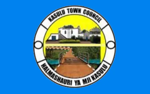 kasulu: a town and district in Kigoma region, Tanzania
