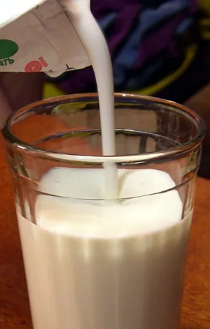 kefir: a fermented milk drink from the Caucasus and Eastern Europe, similar to yogurt but more liquid