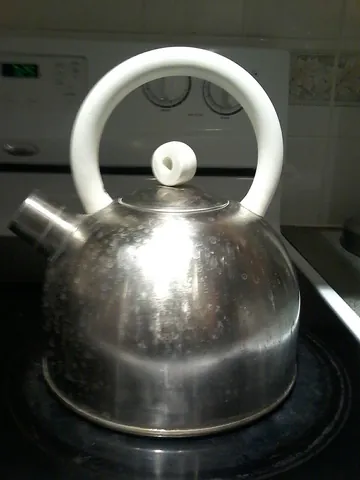 kettle: a vessel for boiling a liquid or cooking food, usually metal and equipped with a lid