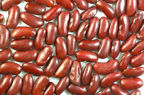 kidney bean: a common bean of a cultivar of (Phaseolus vulgaris), with a dark-red skin