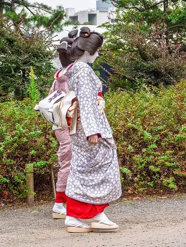 kimono: a traditional Japanese T-shaped, wrapped-front garment with square sleeves and a rectangular body,...